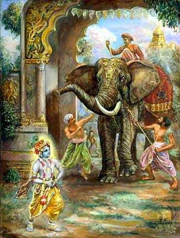 Kuvalayadipa and Lord Krishna