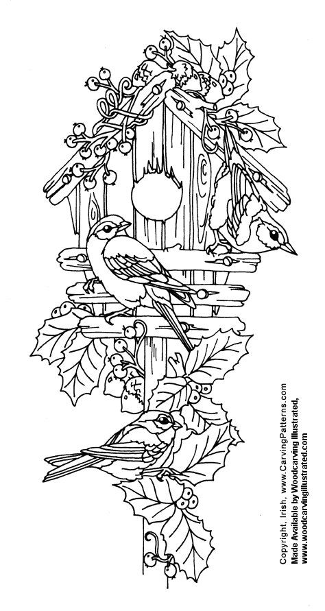 Download Adult Coloring Pages (Printable)