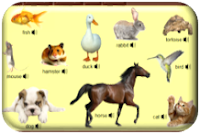 http://www.learningchocolate.com/en-gb/content/animals-3?st_lang=en