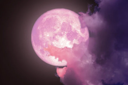 গোলাপি চাঁদ ফটো - গোলাপি চাঁদ ছবি - গোলাপি চাঁদ পিকচার  - গোলাপি চাঁদ ফটো -pink moon pic - insightflowblog.com - Image no 5