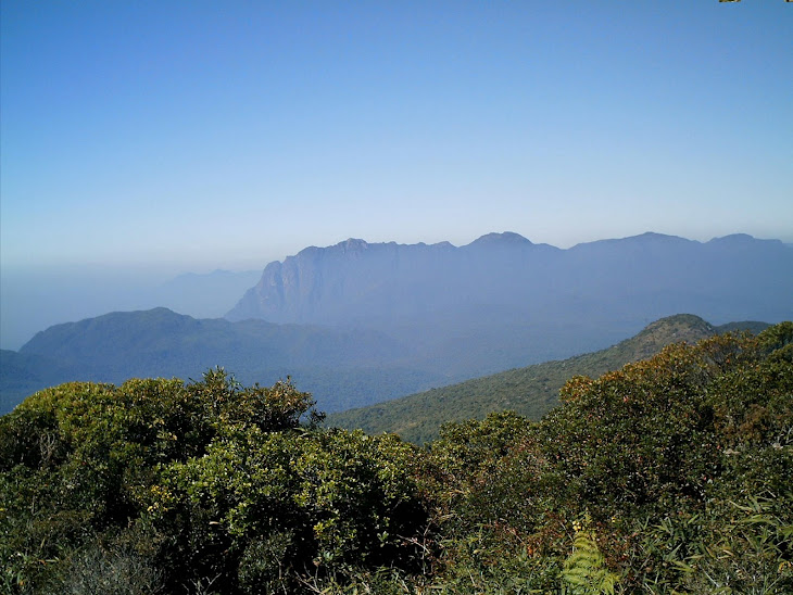 Serra do Mar no Estado do Paraná