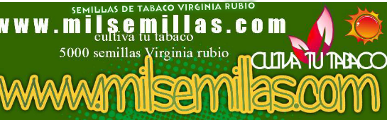  Tu tienda online compra tus semillas de calidad de tabaco virginia Rubio