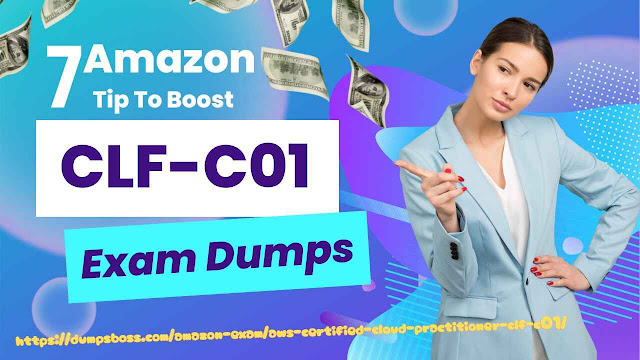 CLF-C01 Dumps