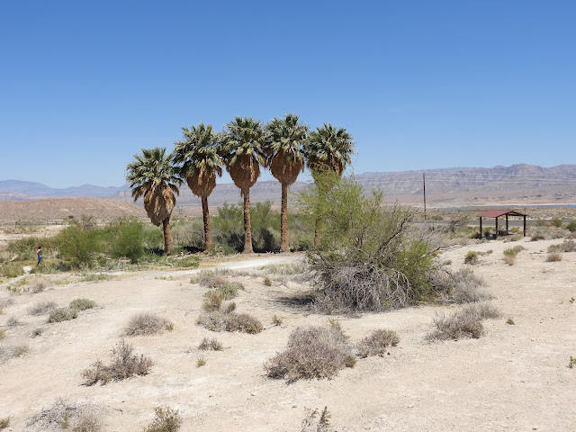 Lake Mead National Recreation Area