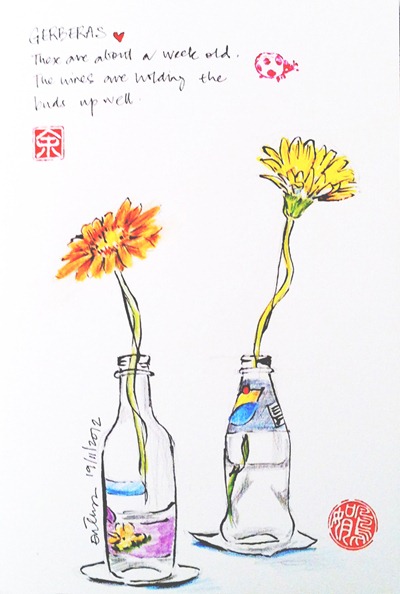 Gerberas drawing
