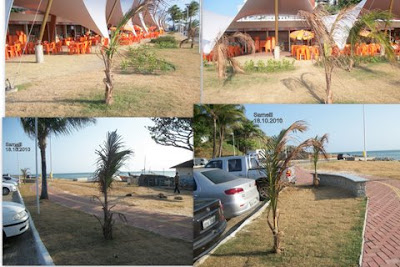 A arborização e os coqueiros de Salvador