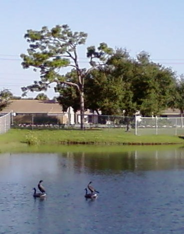 For example there are fake birds as exterior decor in some ponds