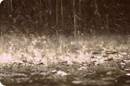 Musim Peralihan Sebabkan Tingginya Curah Hujan di Kabupaten Mimika
