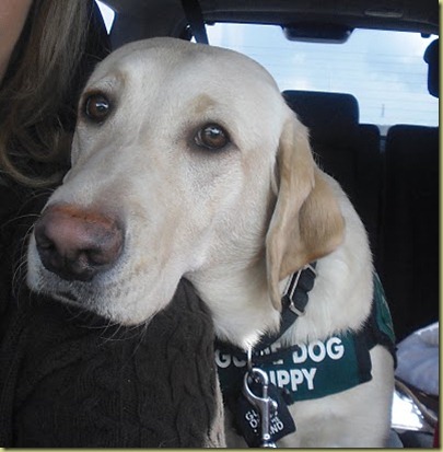 I am sitting in the front seat of the car with Reyna in the back as she rests her head on my shoulder.