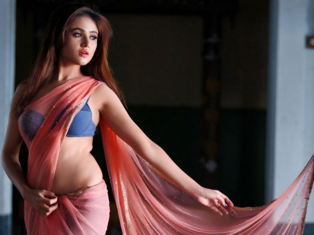 south actress sony charishta armpit pics in saree