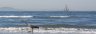 Sailboat, heron off White Rock beach