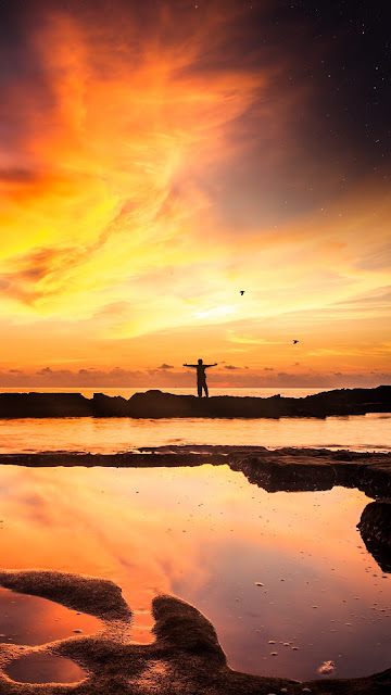 Freedom, Sunset, Silhouette, Loneliness, Horizon, Sea, Birds