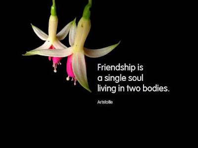 friendship poems and quotes. funny friendship poems and