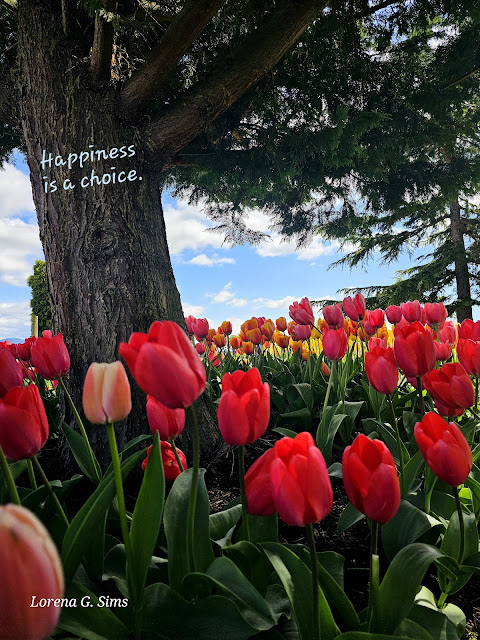 Beautiful colorful tulips, flowers, tree