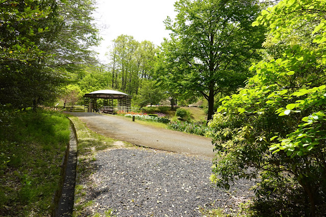 鳥取県西伯郡南部町鶴田 とっとり花回廊 花の谷