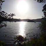 View album