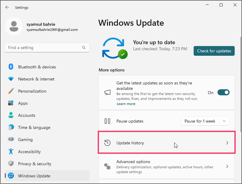 1-windows-update-history-setting