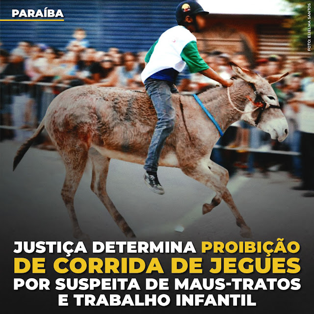 Paraíba: Justiça determina proibição de corrida de 'Jegues' por suspeita de maus-tratos!
