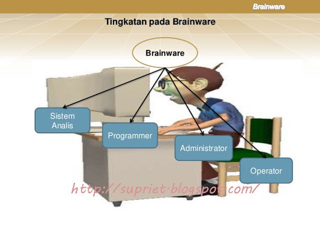 Pengertian Apa Itu Brainware Komputer