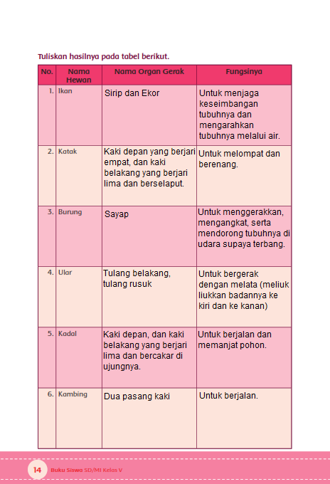 Kunci Jawaban Tematik Tema 1 Kelas 5 Hal 13 14 Ayo 