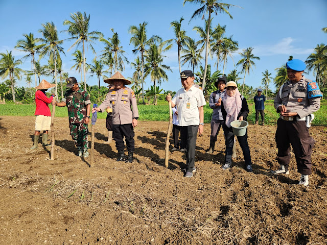 Polsek Labuan Tanam Jagung Serentak, Wujudkan Kemandirian Pangan
