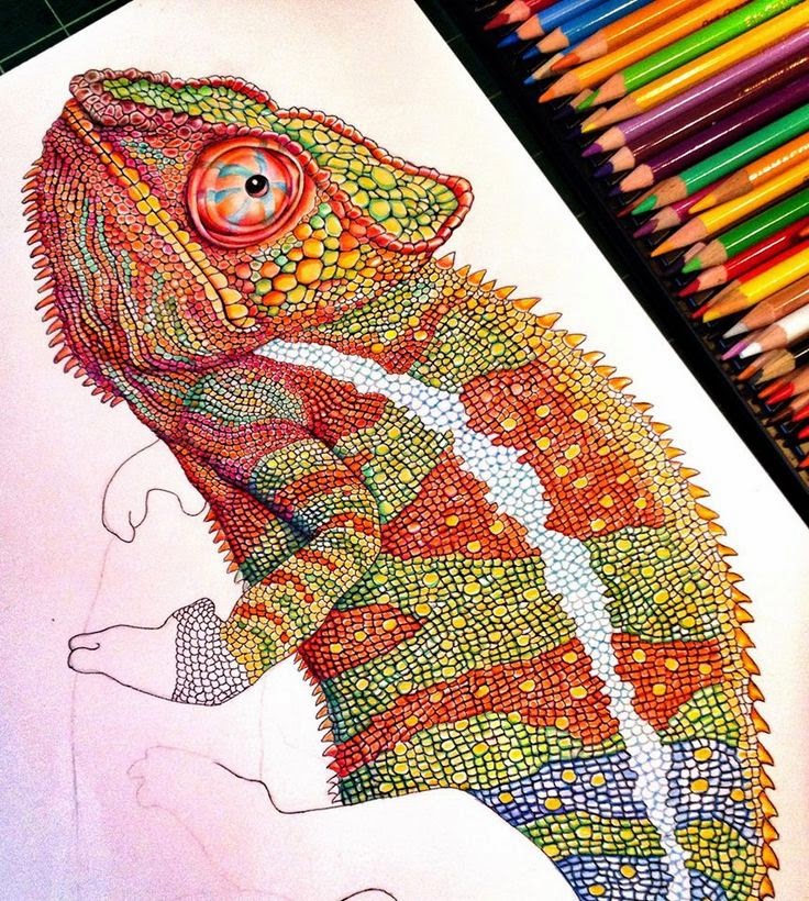 Top Inspiration 24+ Draw Drawing