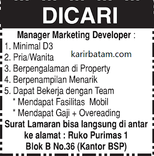 Lowongan Kerja Manager Marketing Developer