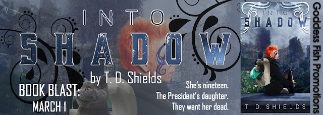 http://goddessfishpromotions.blogspot.com/2017/02/book-blast-into-shadow-by-td-shields.html