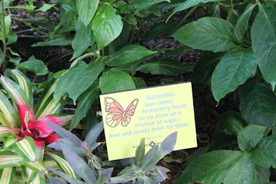 Butterfly plaque