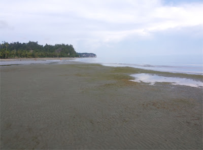 Pantai Albukarai Tersembunyi di Timur Indonesia