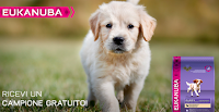 Logo Eukanuba : richiedi i campioni omaggio