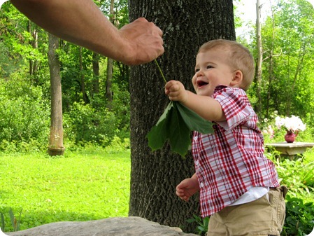 Nolan's 1 Year Portraits