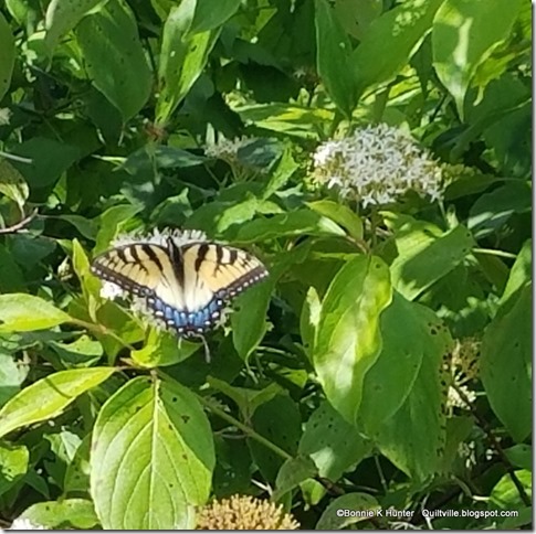 20170625_120436