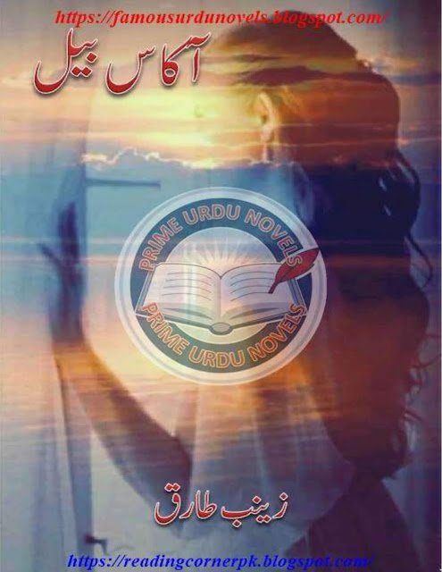 Akas bail novel by Zainab Tariq Part 1 online reading