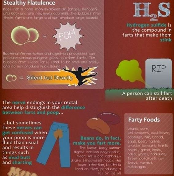http://watchnewtech.blogspot.in/2014/10/facts-about-your-farts-infographic.html