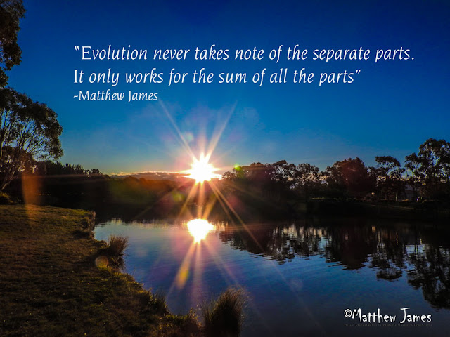 "Evolution never takes note of the separate parts. It only works for the sum of all the parts" - Matthew James 