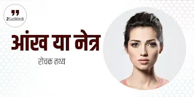 Human Eye Facts In Hindi