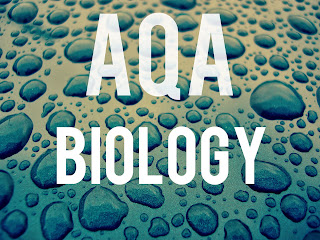 http://yoursciencerevision.blogspot.co.uk/2015/05/aqa-biology-key-words-videos.html