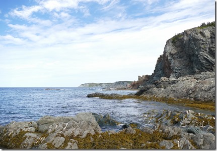 nl_twil_back_harbour_walk4