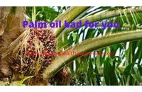 Palm oil bad for you