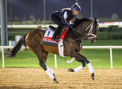 City of Meydan Horse