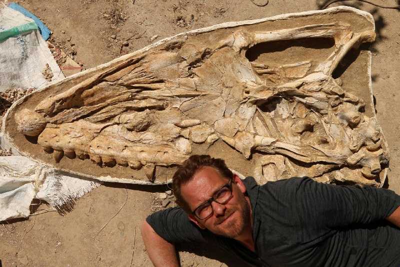Este es el nueva especie de mosasaurio descubierto, fósil de Thalassotitan atrox