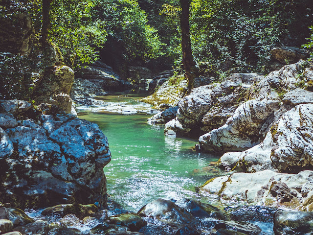 Canadian Springs Water