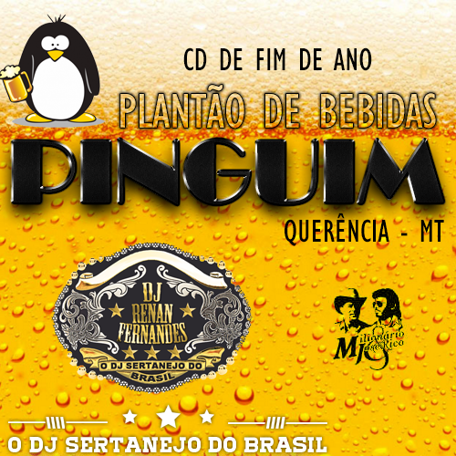 PLANTÃO DE BEBIDAS PINGUIM - DJ RENAN FERNANDES 