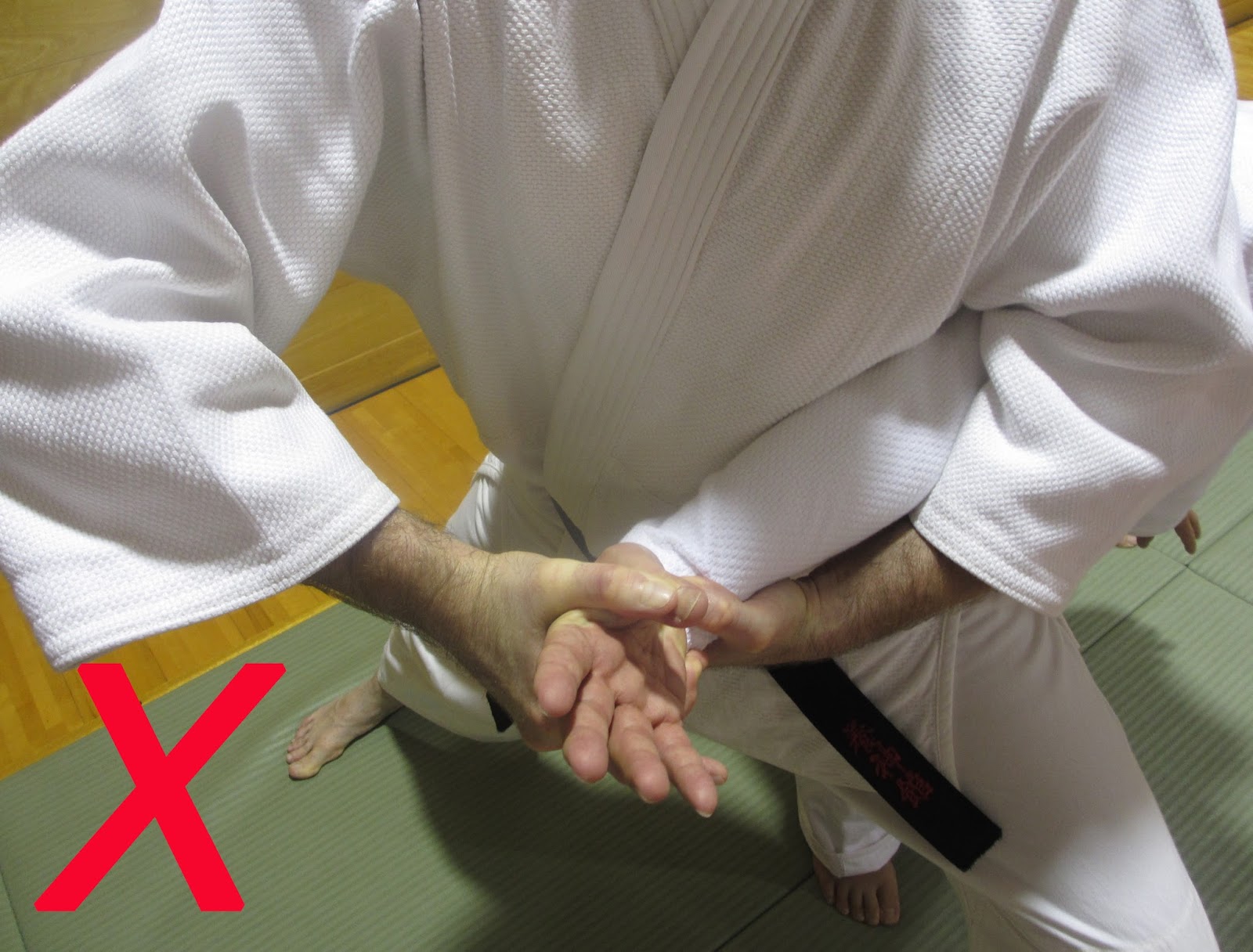 Yoshinkan Aikido Meiryukan Blog 養神館合気道明龍館ブログ 9月 15