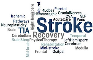 Pengobatan penyakit stroke secara alami, Penyakit Stroke Dan Pengobatannya, Cara Mengatasi Stroke Ringan Alami, Mengobati Stroke Dengan Herbal, Obat Mujarab Untuk Stroke Dan Diabetes, Obat Mengatasi Stroke, Diagnosa Penyakit Stroke Pdf, Pengobatan Stroke Dengan Cuci Otak, Pengobatan Stroke Mini, Obat Buat Stroke Ringan, Fenomena Penyakit Stroke Di Indonesia, Cara Cepat Mengobati Stroke Ringan