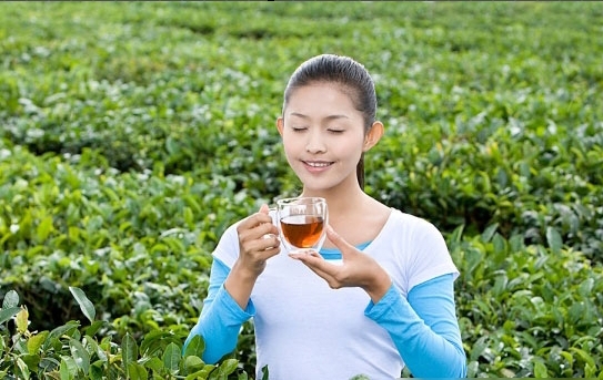 thuoc giam can Green coffee