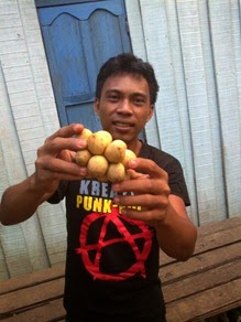  Hendra dan buah langsat