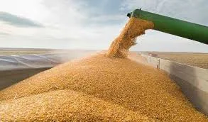 Guterres calls for extension of grain deal beyond March 18