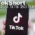 TikTokShort | scarica video da TikTok senza filigrana